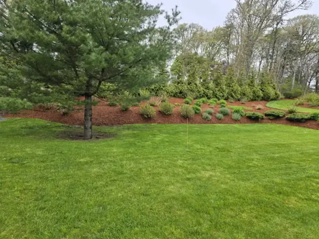 Mulched garden bed along a mowed lawn