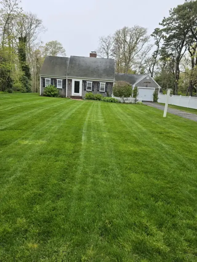 Freshly striped lawn